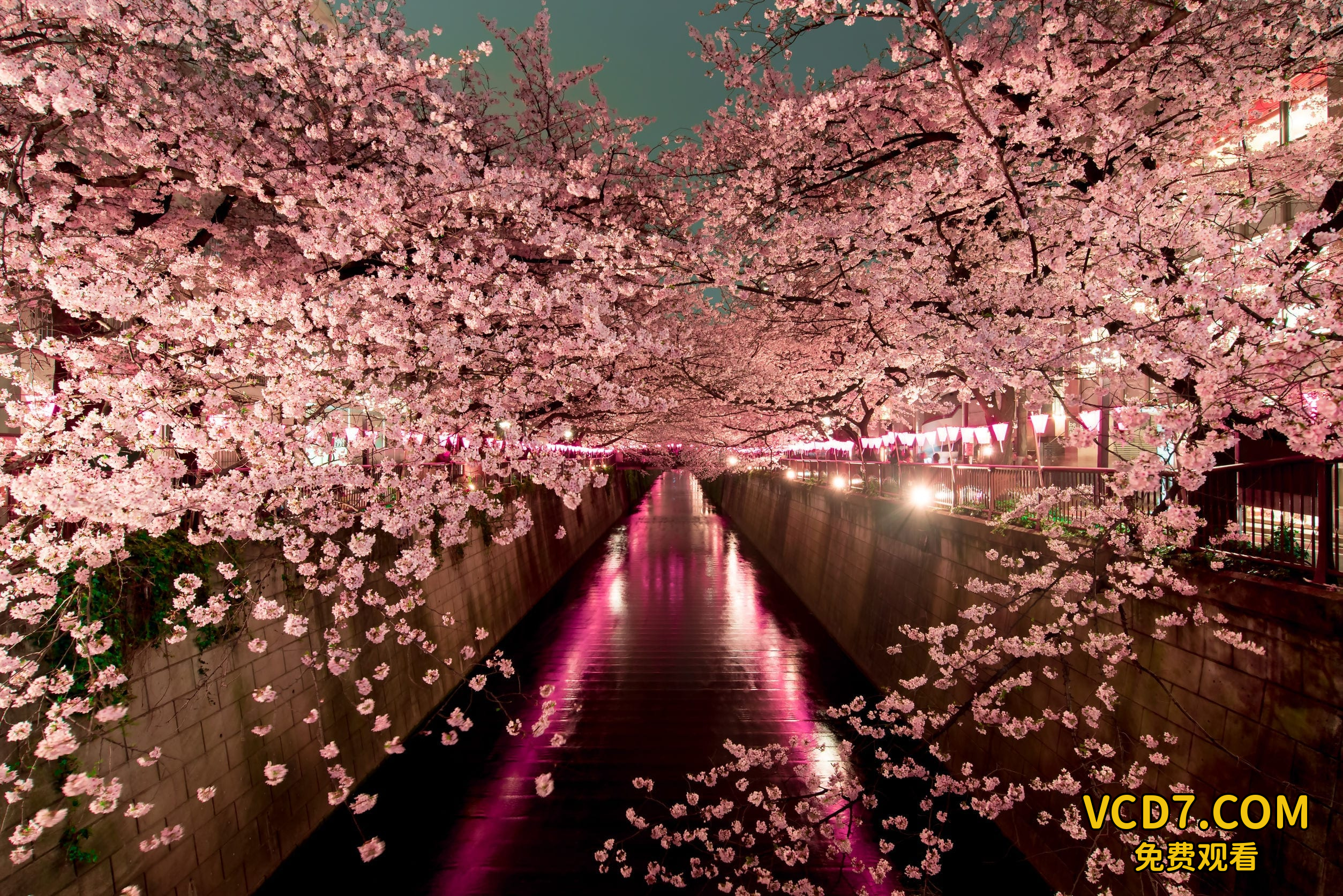 Sakura-Sakurada